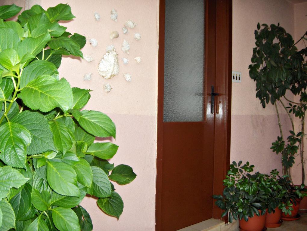 Guest House Roza Vrboska Room photo